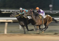 園田競馬場ナイター３