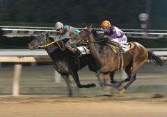 園田競馬場ナイター３