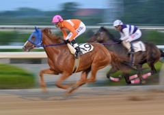 園田競馬場ナイター１