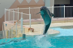 須磨水族園１