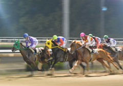 園田競馬場ナイター２