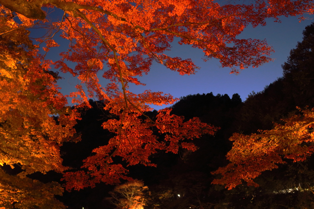 秋の夜の香嵐渓２