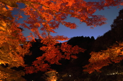 秋の夜の香嵐渓２