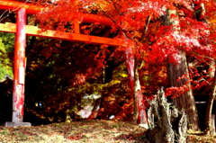 鳥居