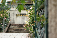 日本大正村散歩２