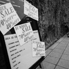 SUMMER　SALE