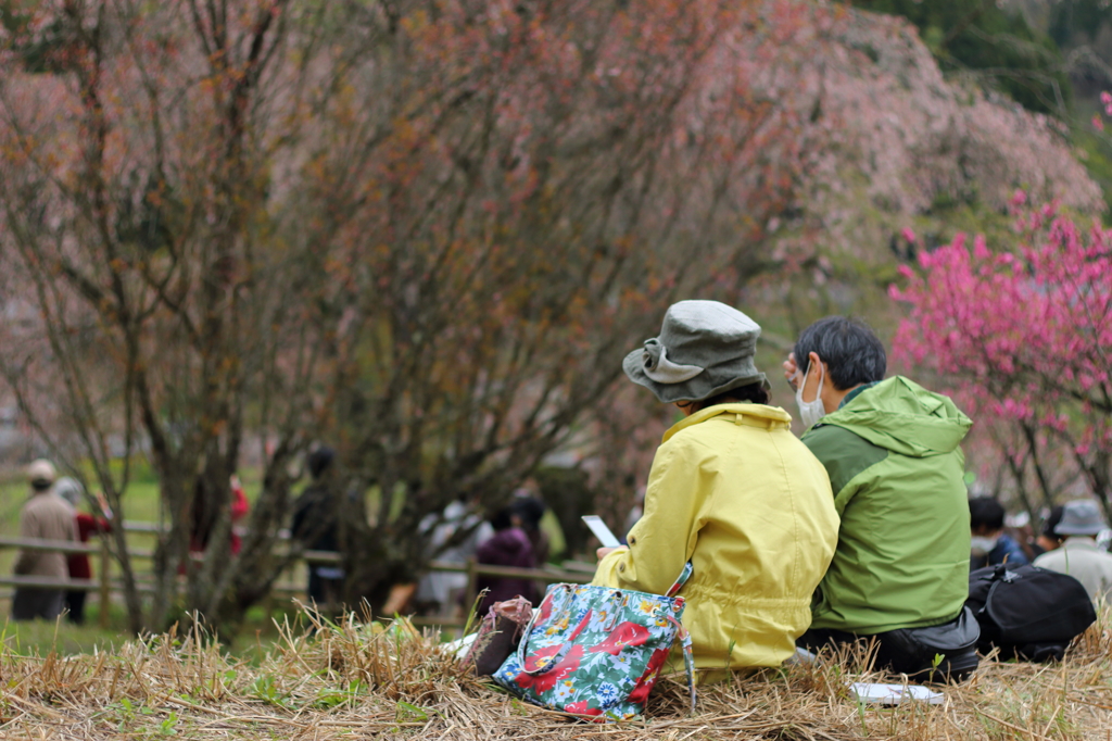 今年も来たね