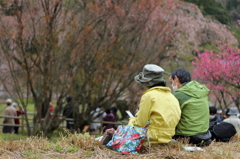今年も来たね