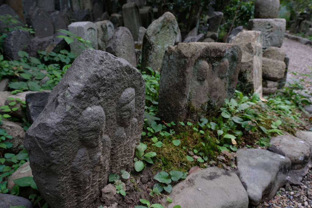 元興寺Ⅴ