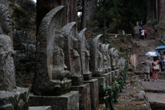 雨の室生寺
