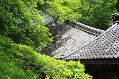 2014春の長谷寺03