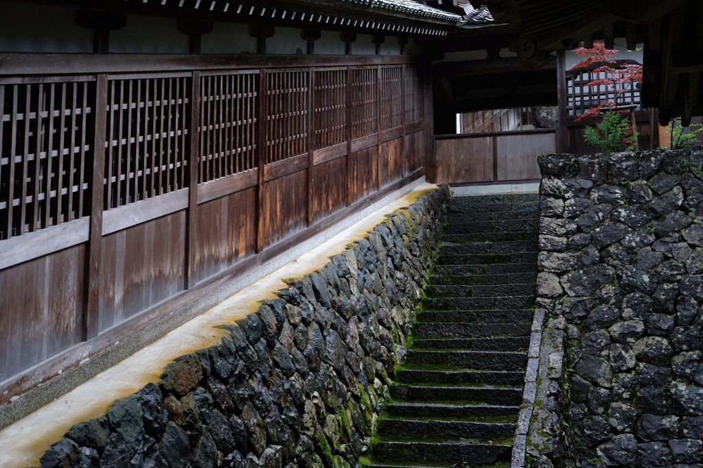 永平寺を行く
