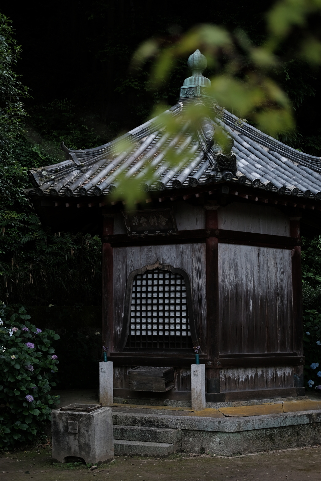 雨に佇む