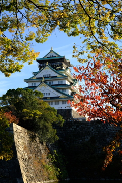 晩秋の大阪城