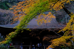古寺の彩り