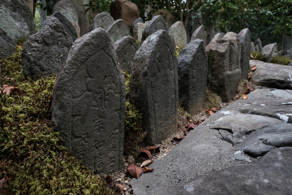元興寺Ⅳ