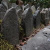 元興寺Ⅳ