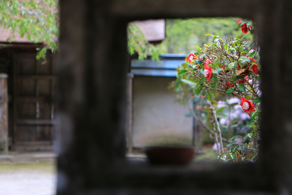 2014春の室生寺05