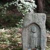 長岳寺の石仏Ⅱ