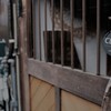 ならまち散歩　２