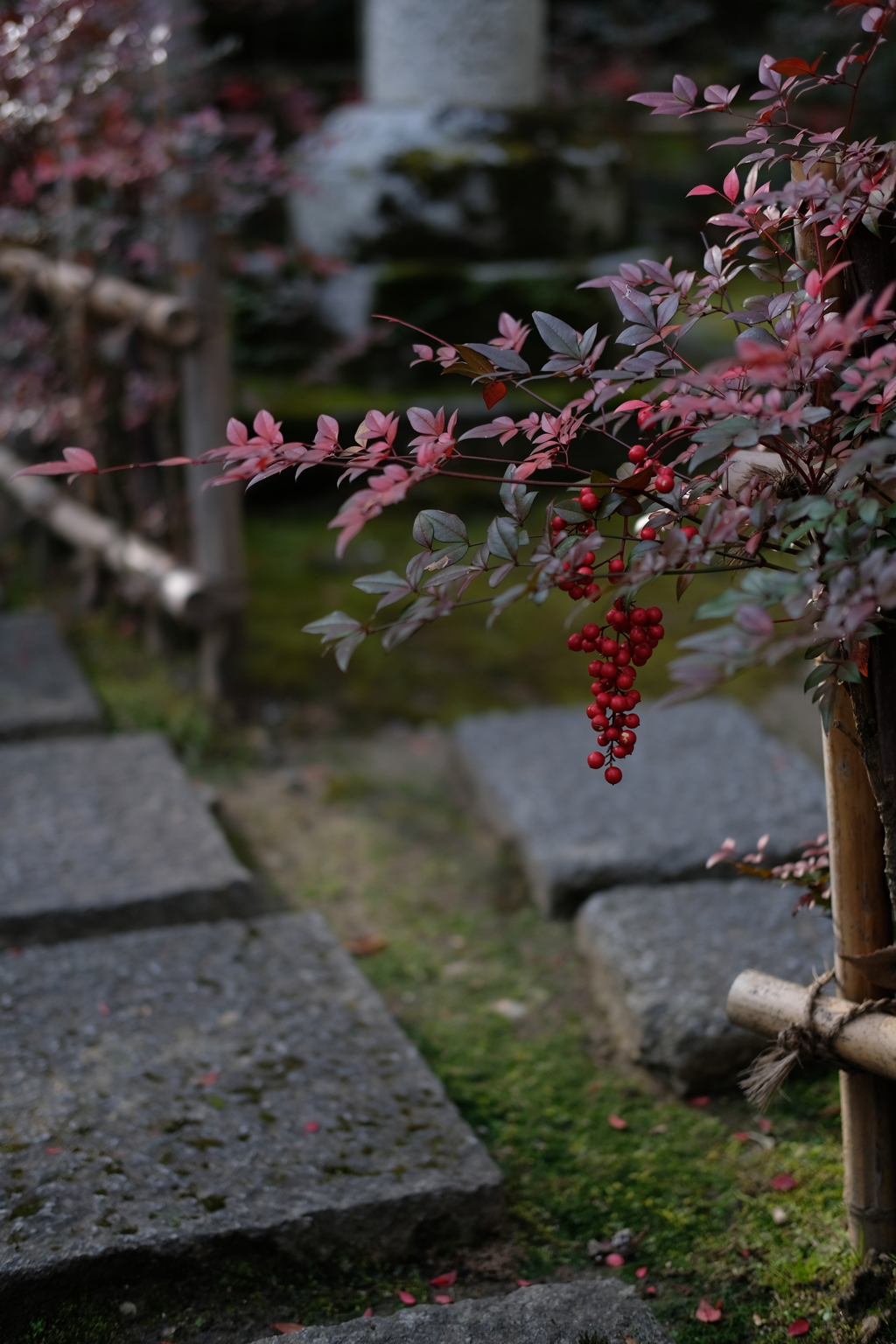 南天、長谷寺で