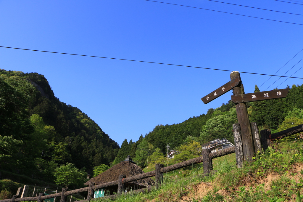 2014春の佛隆寺05