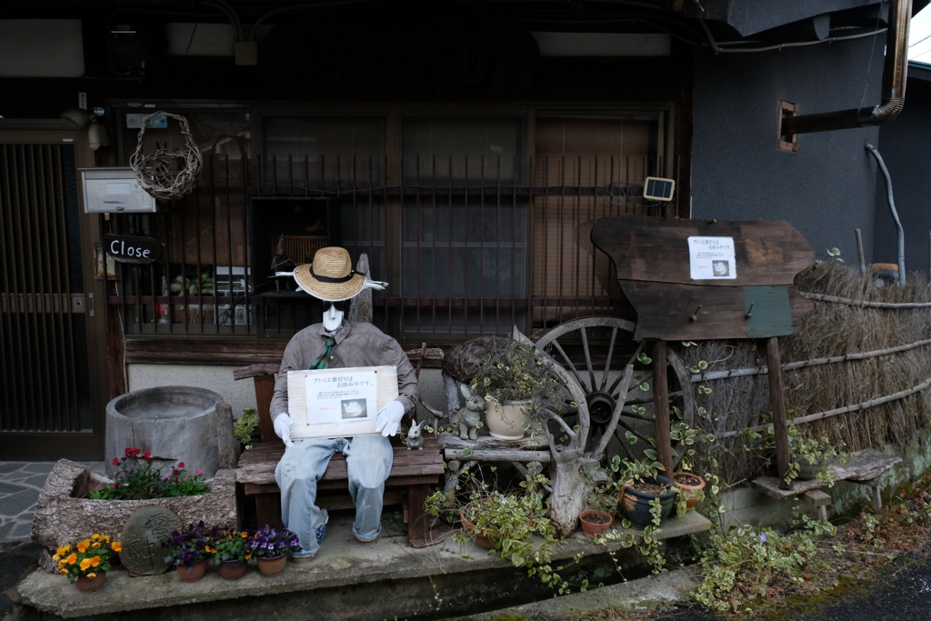 ダンディ