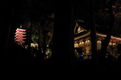晩秋の室生寺ライトアップ