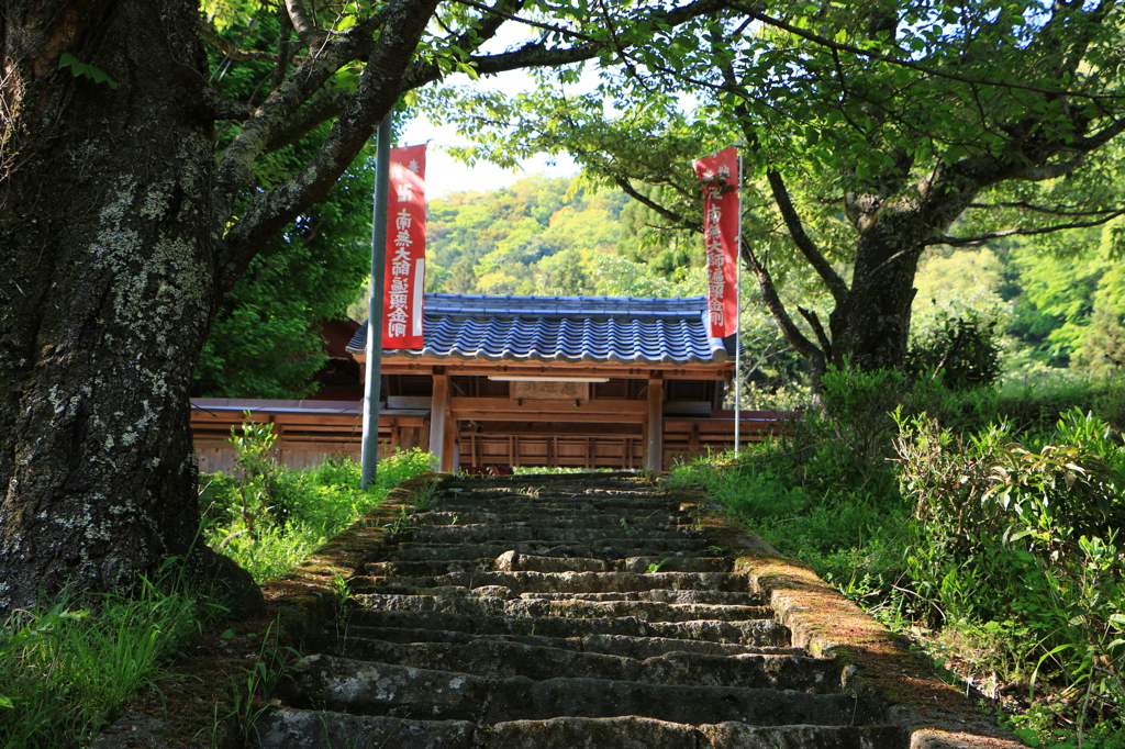 2014春の佛隆寺01