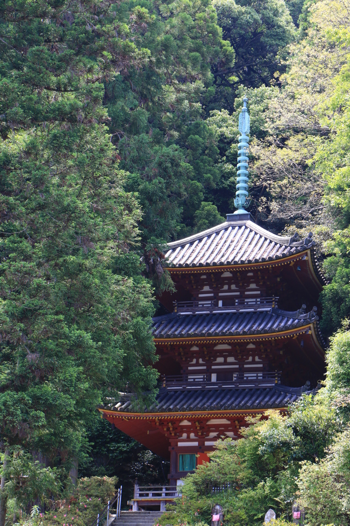 2014初夏の松尾寺03