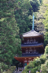 2014初夏の松尾寺03