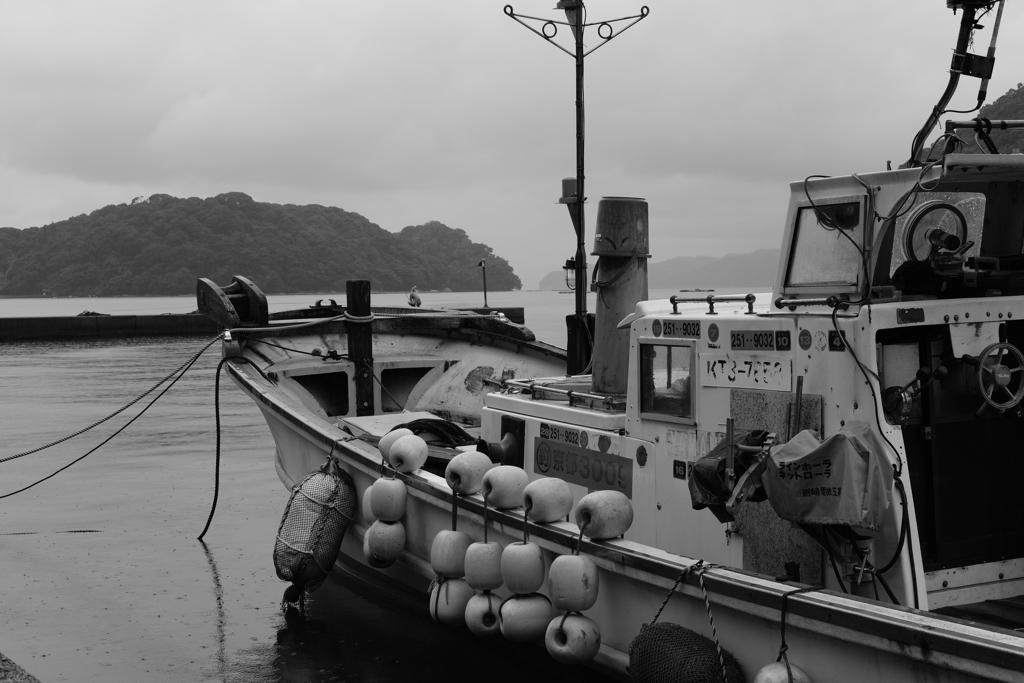 雨の伊根散策③