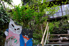 尾道　街歩き　３　猫の風景