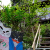 尾道　街歩き　３　猫の風景