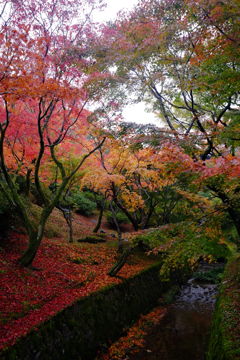 東福寺1