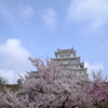 姫路城3