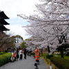 東寺３