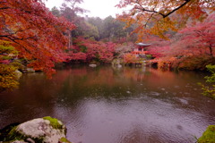 醍醐寺2