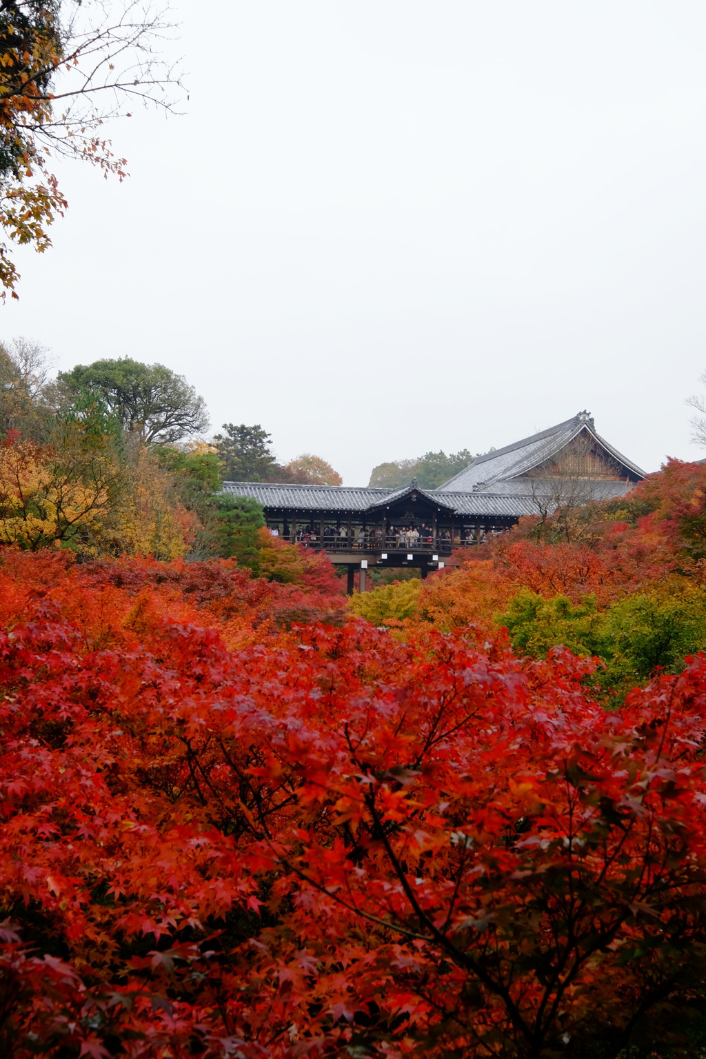 東福寺4