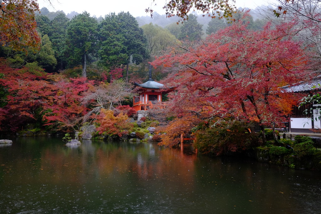 醍醐寺1