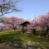大濠公園2