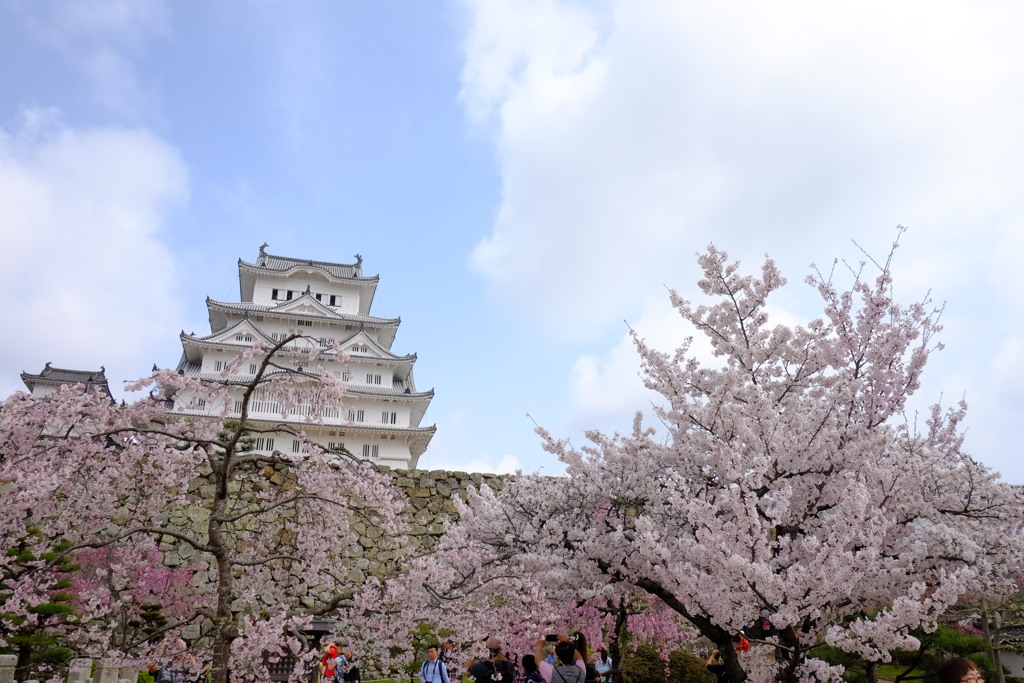 姫路城5