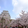 姫路城5