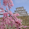 姫路城1