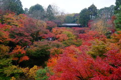 東福寺2