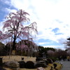 東寺４