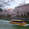 平安神宮１