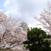 姫路城7