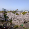 大濠公園3