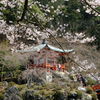 ＠醍醐寺　弁天堂
